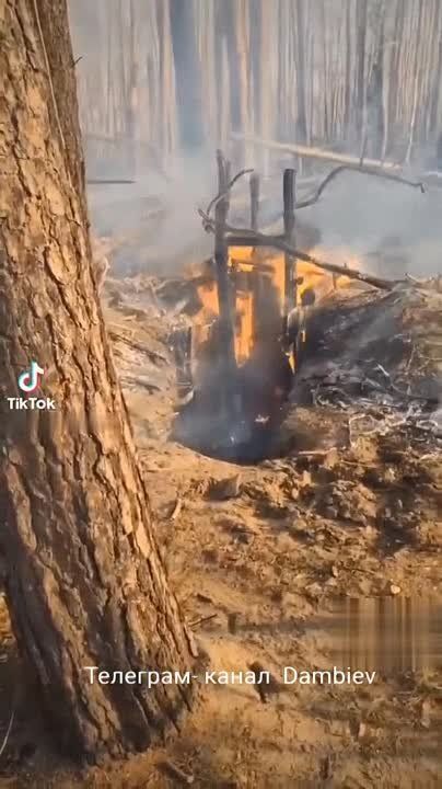 ������ �������: ������� ���������� ������������ � ����� ��� ��������� ����� �������-��������������� ����� �� ��