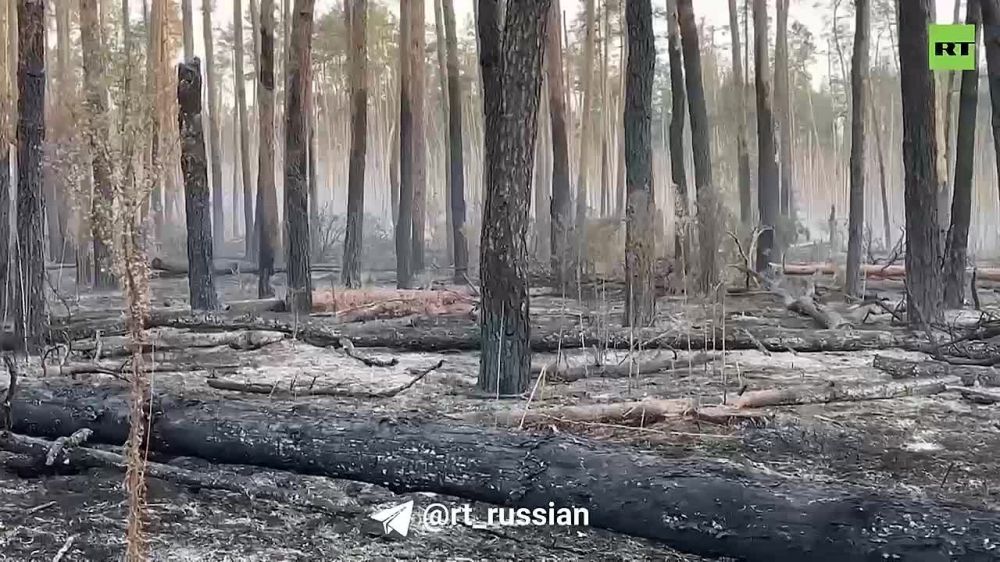 ������� ���� �������� � ��� 120-�� ����: ��������� ��������������