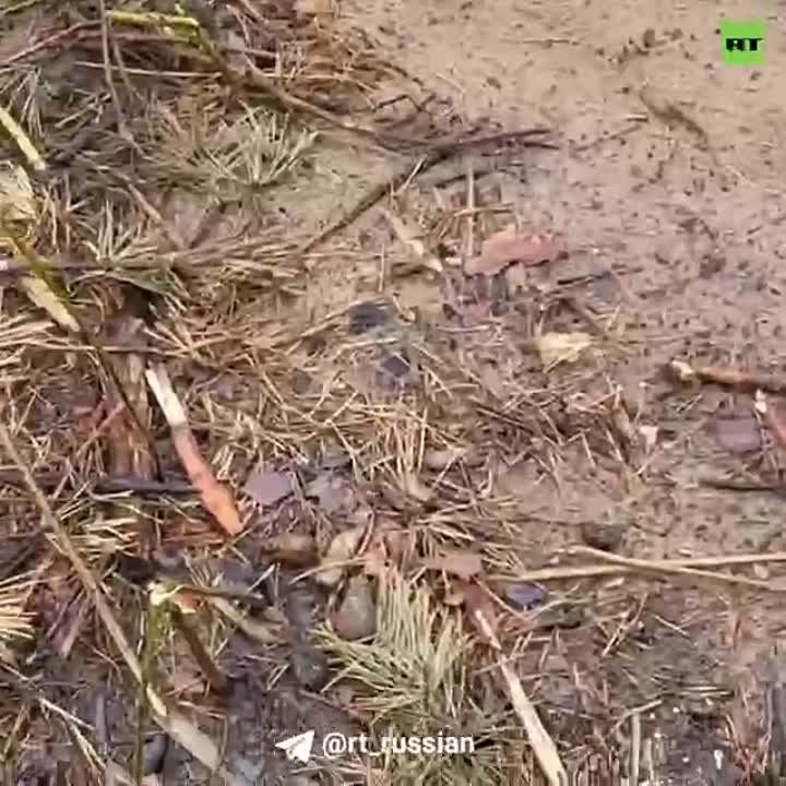 ������ ��������: �������� ������� � ���� ��������� ������