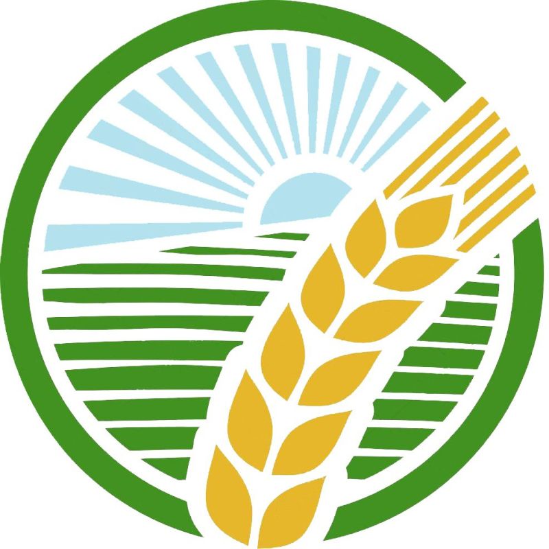 ������� �����: ������ �������� ����� � ���������