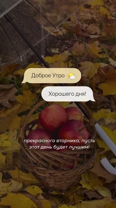 �������������� �� �����