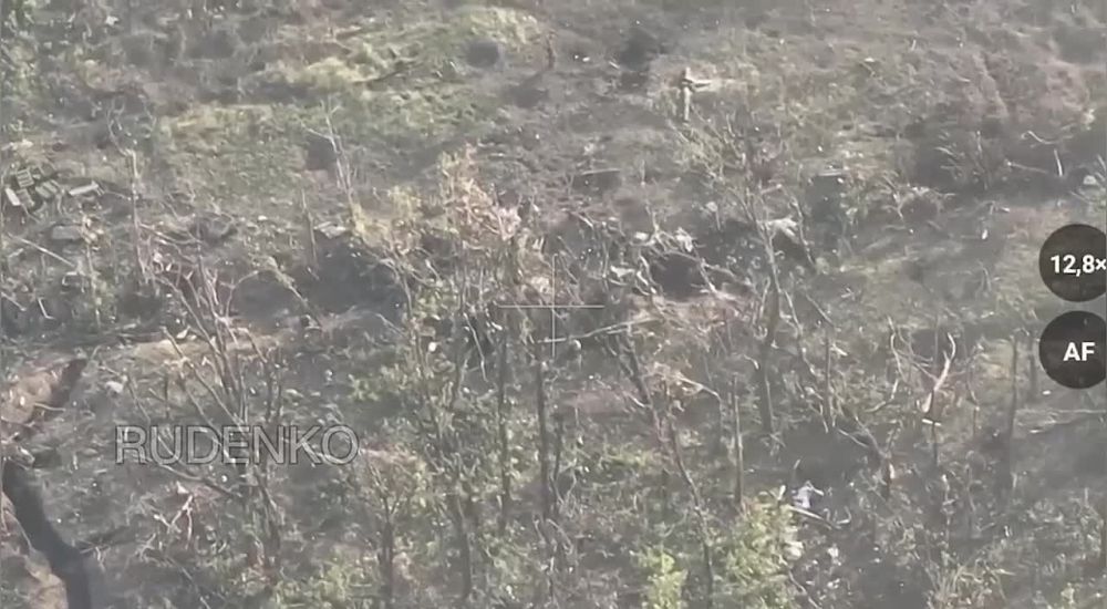 ������ �������: #���������. � ������ �.�. ��������� � ���������� �������� ���� 4 ����� ����� ����������� ����� ������ ������� 80 ����� ���