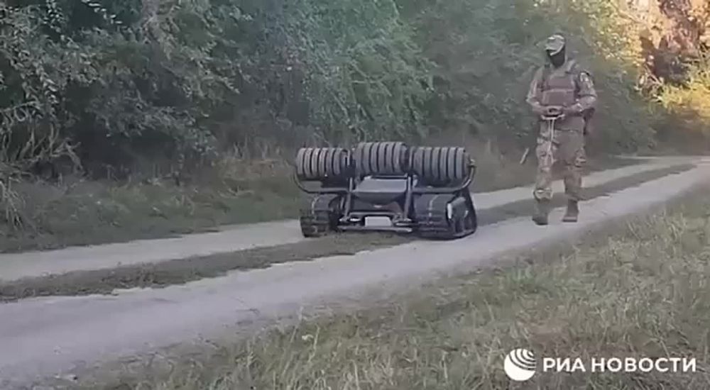 ����� �����: ������������� ������� ������ � �������� ������ ������ ��� �������������� ��������������� ��� � ���