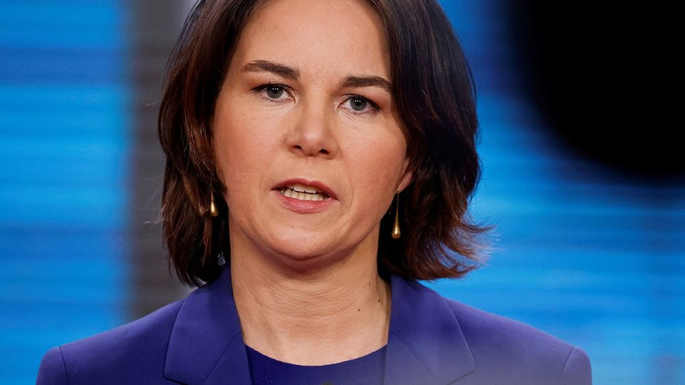 Журналист Ронцхаймер жестко ответил Бербок на обещание расширить ЕС до Луганска