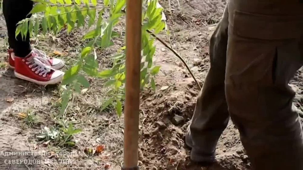 ������� ��������: ������ ������� � ������� �������� ��� "����� �������� � ����������" � ������ ���������