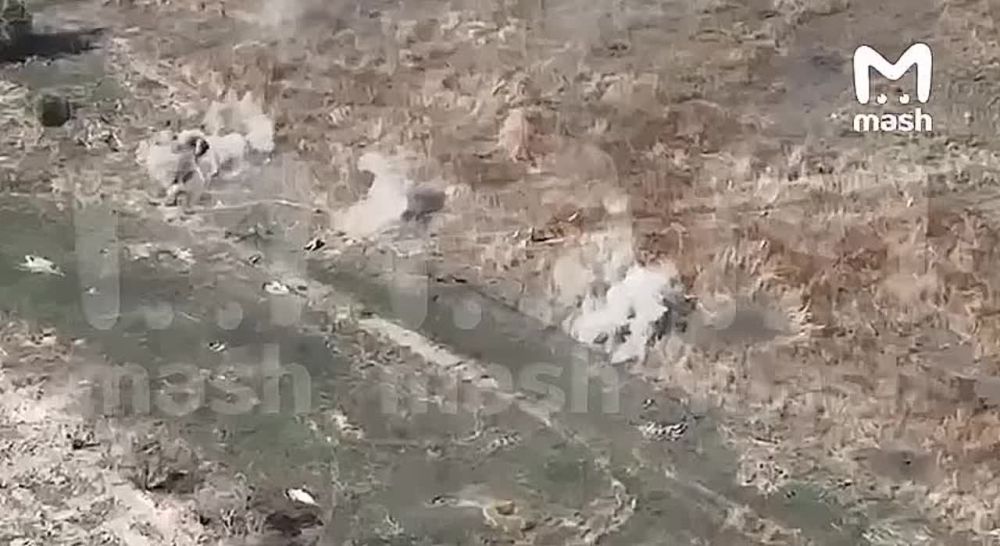����� ���� � ���� �� ����� ������ ���� ��� ��� � ���������, ��� ���������� ����� �������� ������� 1000 �������