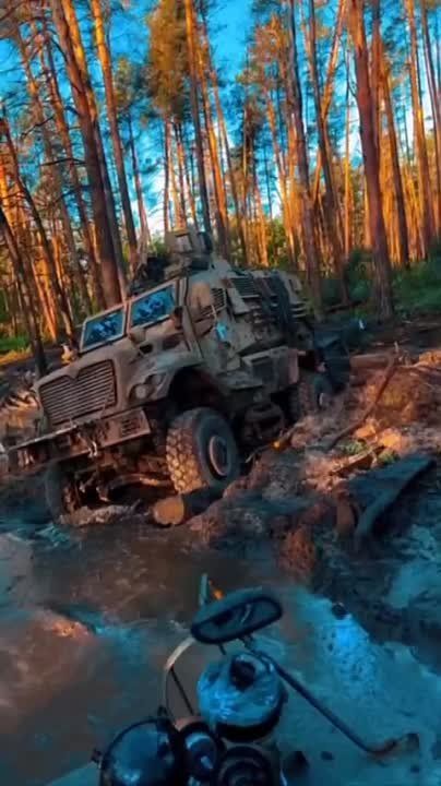 ����� �����: ������������ ��������������� International MaxxPro �� ��������� � ����������� � ������ ���������