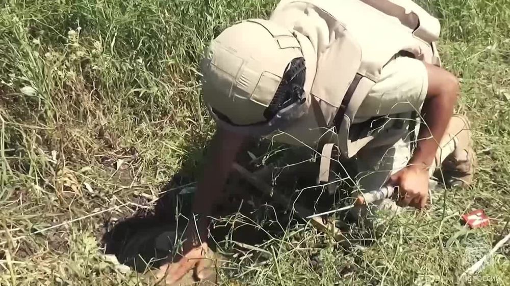 ����������� ������� - 91. ������ �� � ���� ������� ������������� �����: ������ � �������� 25,5 ��� �������;