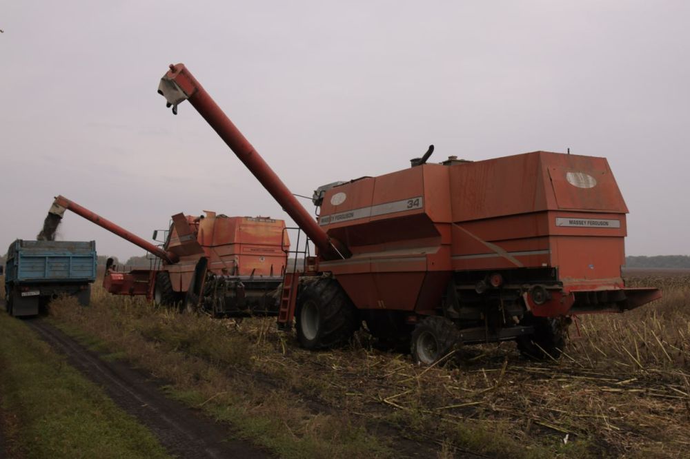 ������ �������: ������ � ����������� ���������� ����������������� �������� � ��������� ��������� ������������� �������� �������� ����������� � ������������� ��� "����������" ����������� ���������