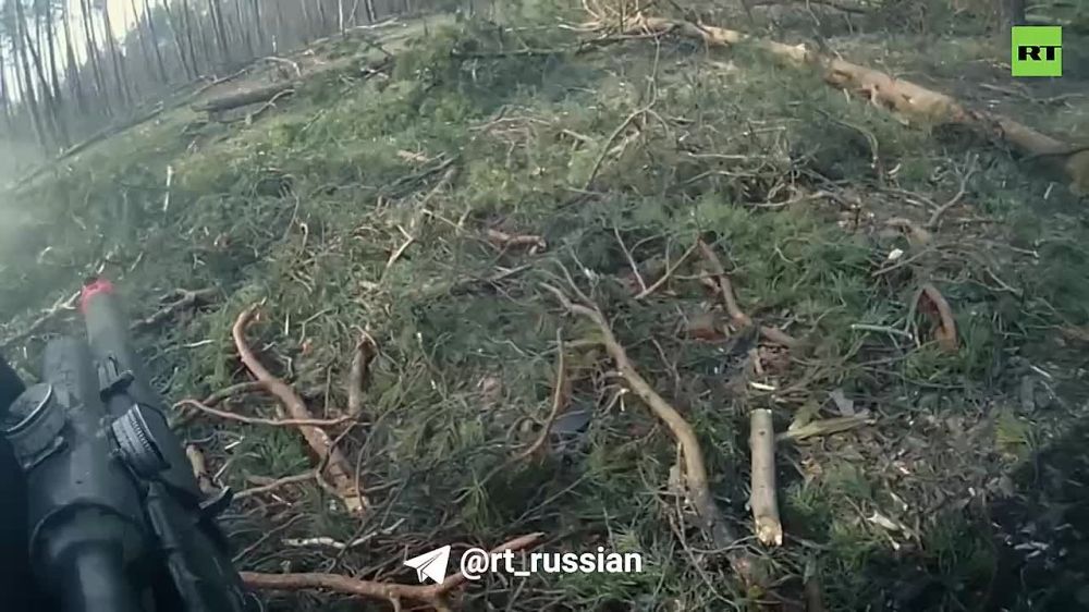 ����� �����: ��� �� ������� ���� � ����� ��� ���������