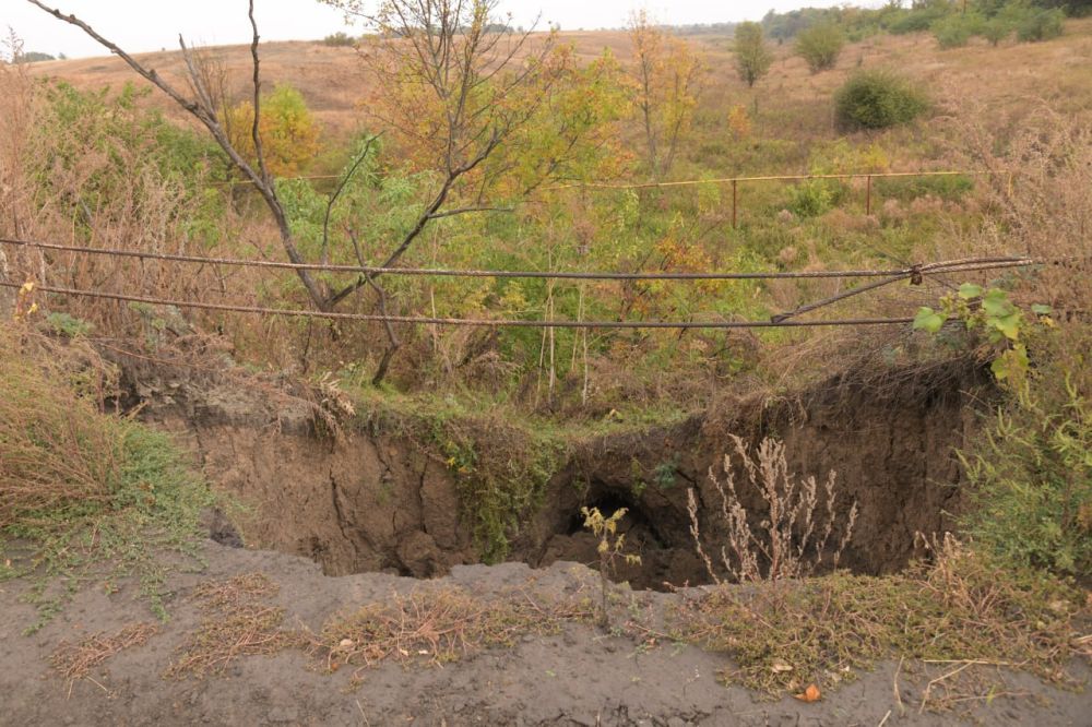 ������ �������: � ����� ��������� ������������� ���������� � ����������� ������� ����������� � �. ������������ ������ �� �����