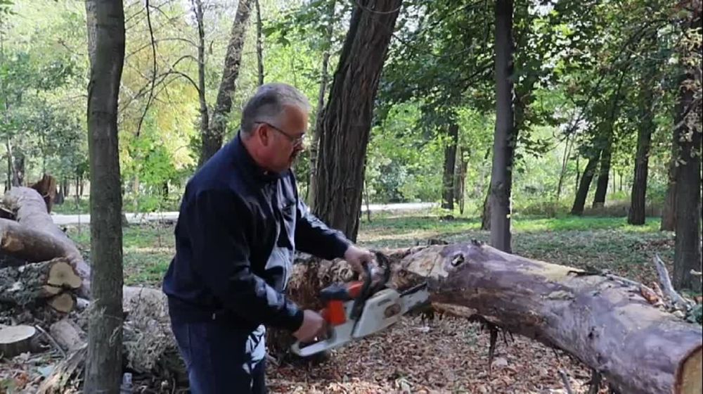 ������ ������: ������� ������� � ����� ����� ���� ������!