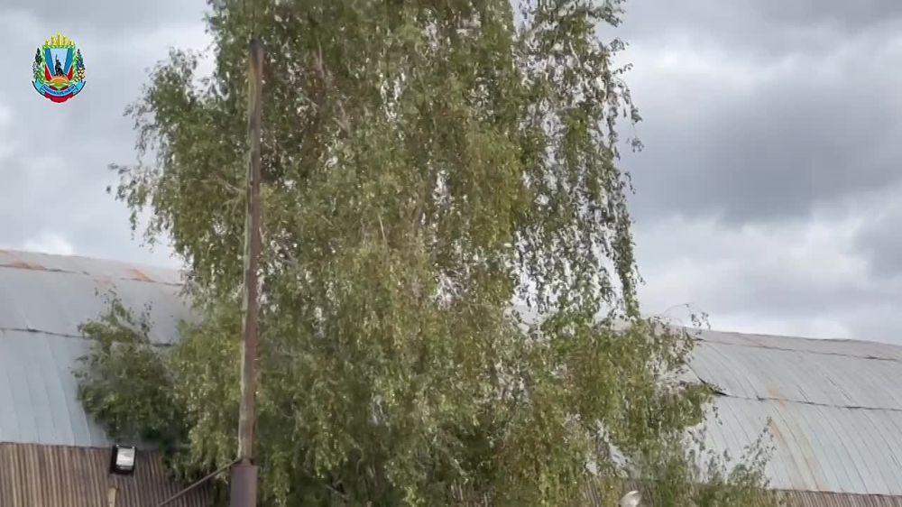 ����� �����: � ���������� ��� ��������� ��������� ��������� � ���������������� ��������������, ������� ��� ������� ����, ��� ���������� ������ ���������� � ��� ������