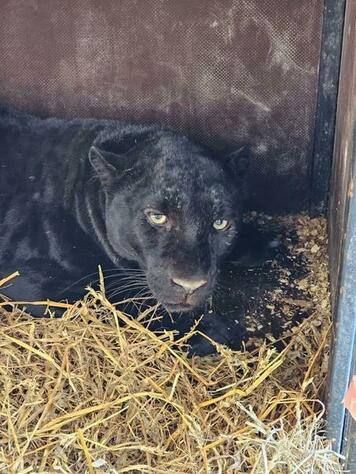 ��� �������� ������� � ���� �� ������� ��������� ������ ���������� � ���� ����������� ������ ����� ��� � ������������� �������