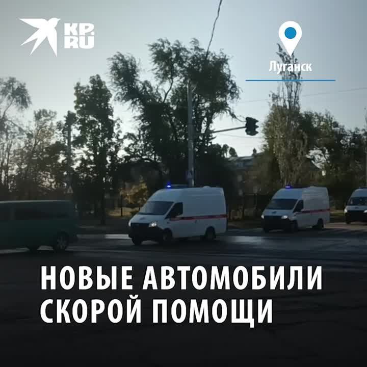 11 ����� ����������� ������ ������ ������� � �������