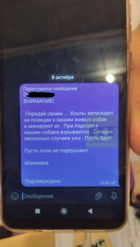 ����� ������: ��� ������ ������������ ����� � ������ ���������