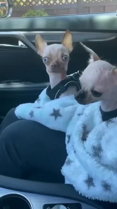 ������ ����! ������ �� ������������ ������ ���� ������ ��� �����