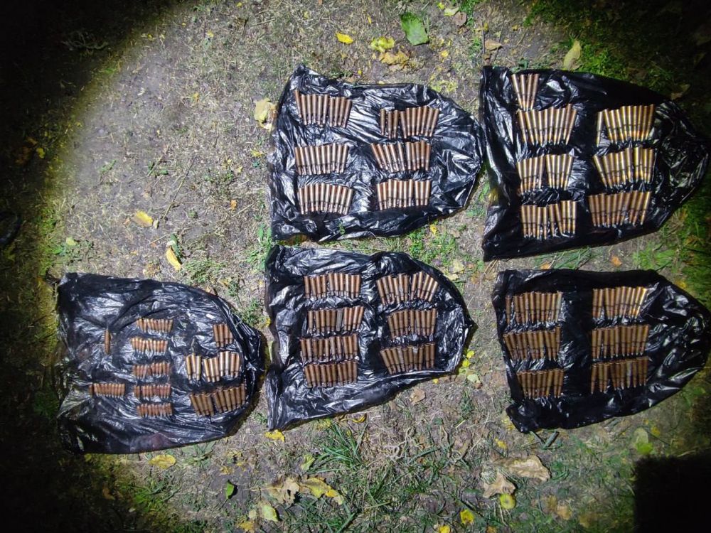 У жителя г. Миусинск изъяты боеприпасы