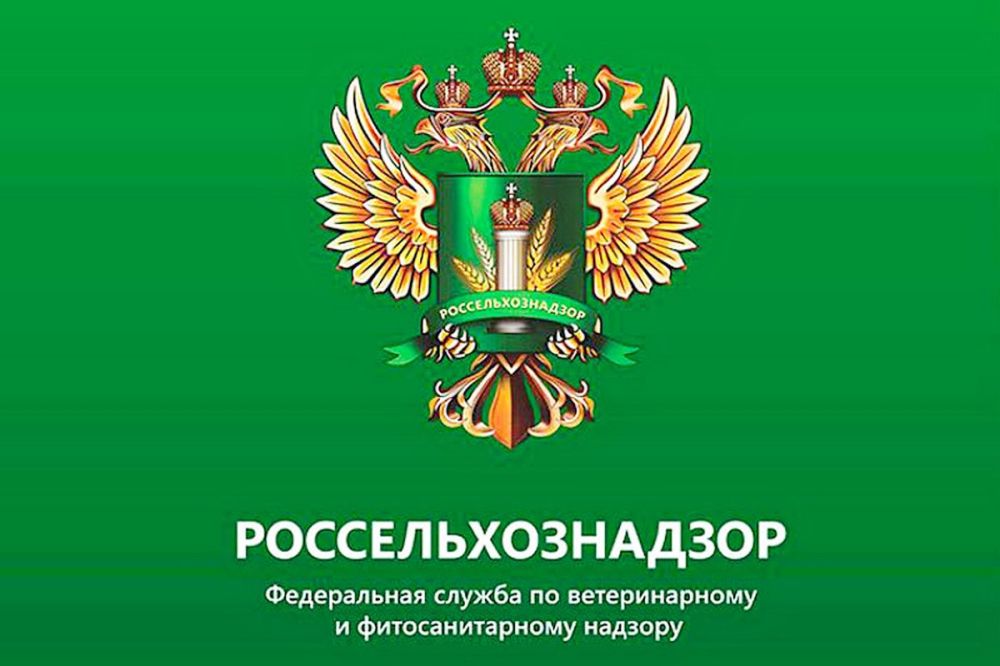 ���������� ����������������� � 16 ������� ������ ����� �� ��������������� ������, �������� � �����������