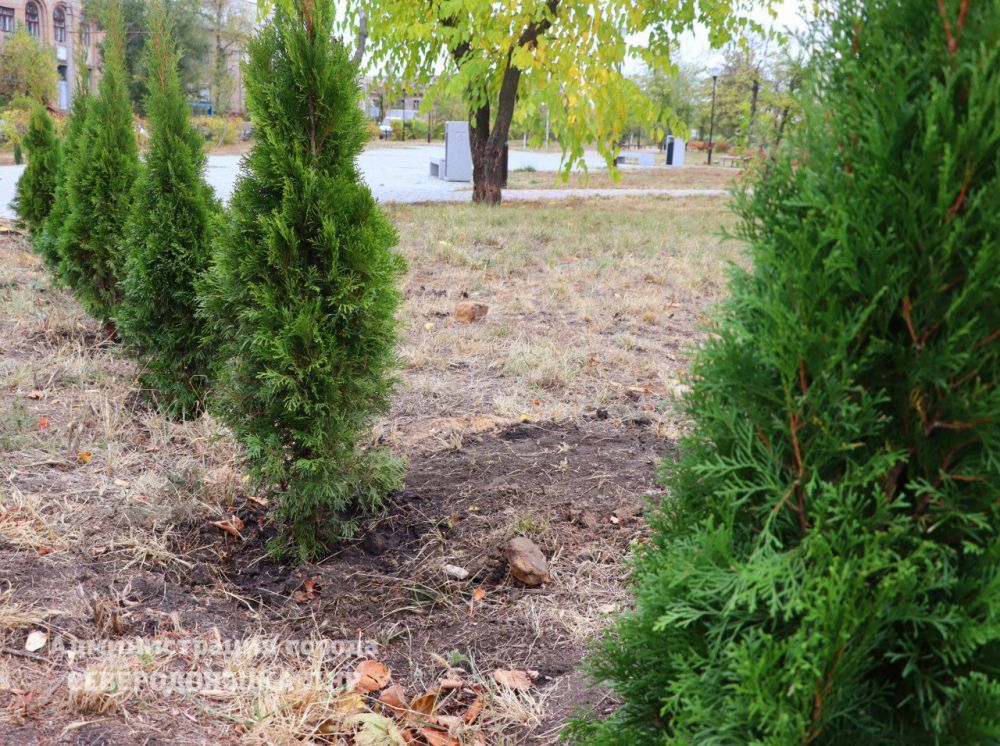 � ������������� �������� ������ ��������� ���������� � ���� �������� �������� �����