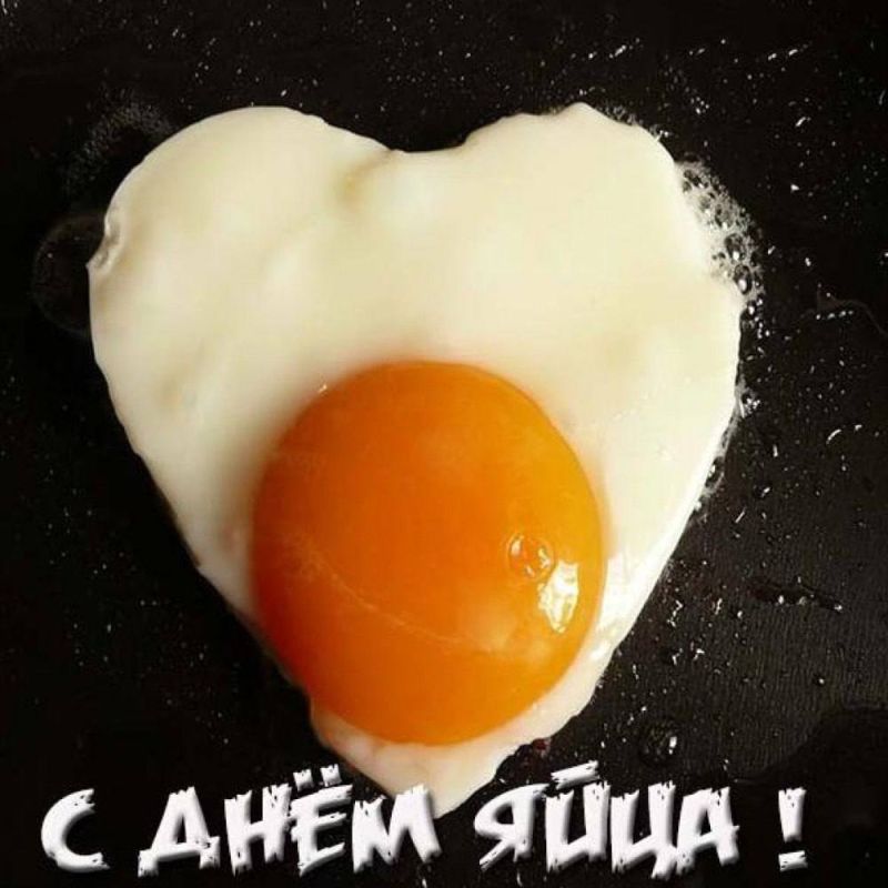 ��������� ���: �������� ����: ����� ������� ������� ��������� ���. ��������� ���