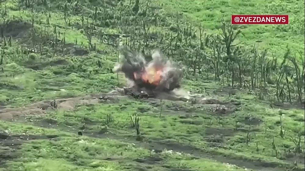 ������� �������: ���-����� 81-� ������������� ������� ������ ��� �������, � ������� ������ ����� ���������� �������������