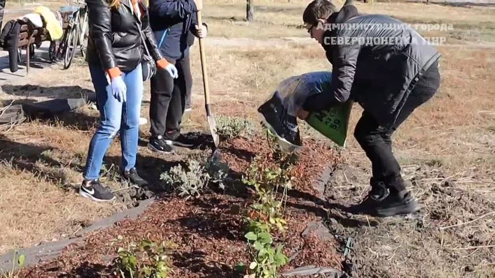 �������� ����������������� ���� ������ �������� ����� ������������� ����� �� ���������� �������������