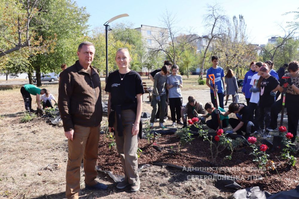 ������� ��������: ��� ��������, ��� �� ���������� �������������� � �������� ����������������� ������ ������ ��������