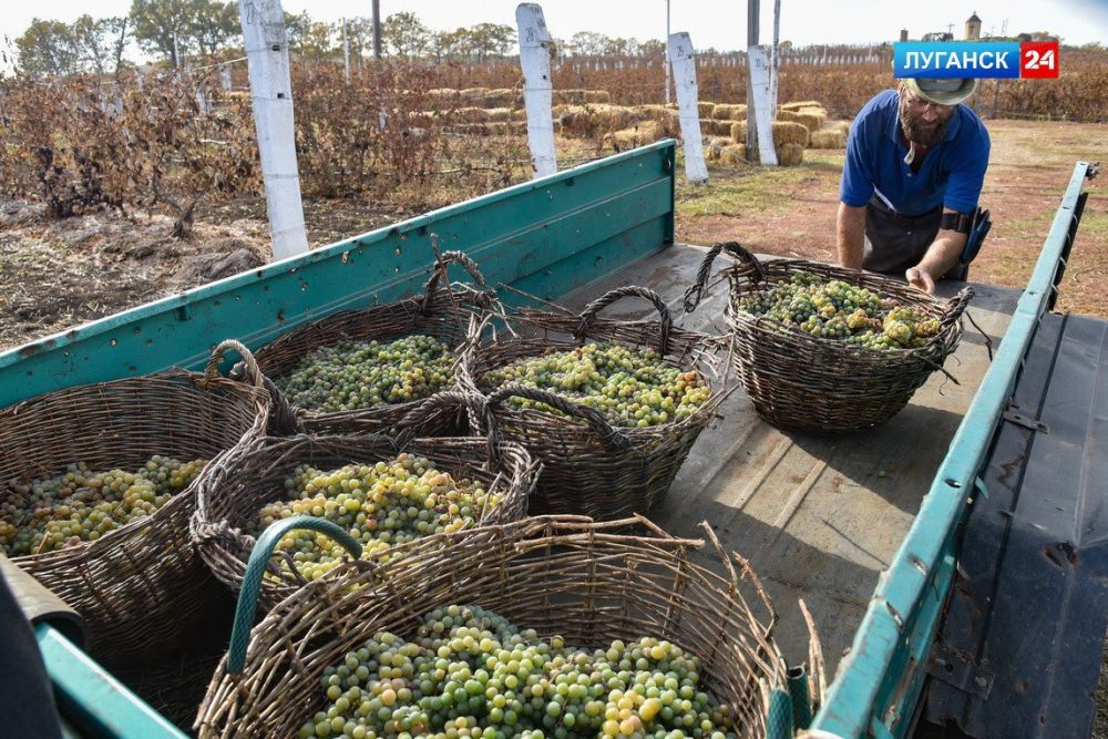 ������ ���������� ������ ���������, ��������� �� ���������� �������, ��� ������� � ��������