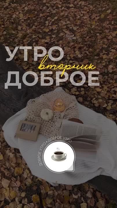 �������������� �� �����