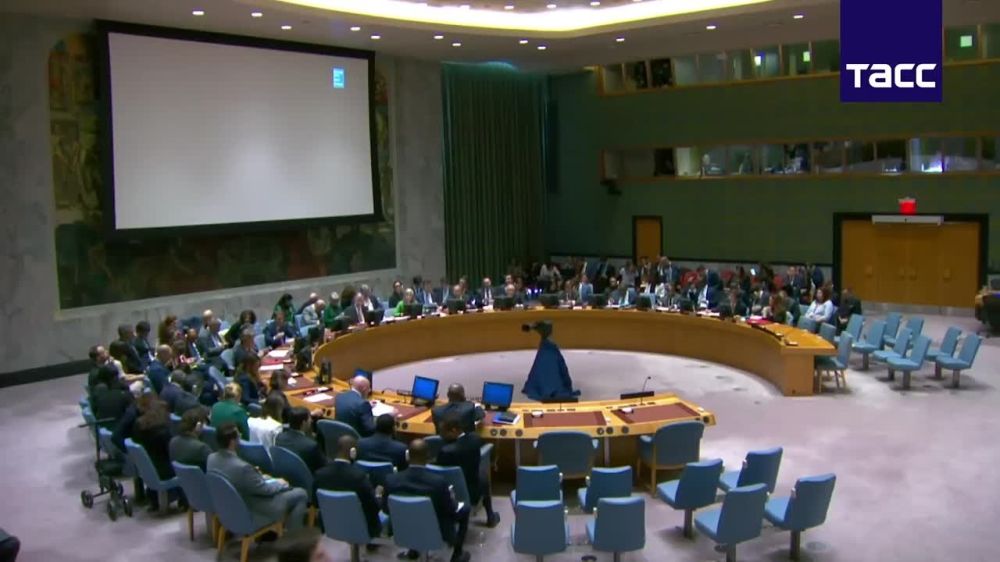 Применение США право вето на бразильский проект резолюции по палестино-израильскому конфликту представляет собой проявление лицемерия и двойных стандартов со стороны Вашингтона