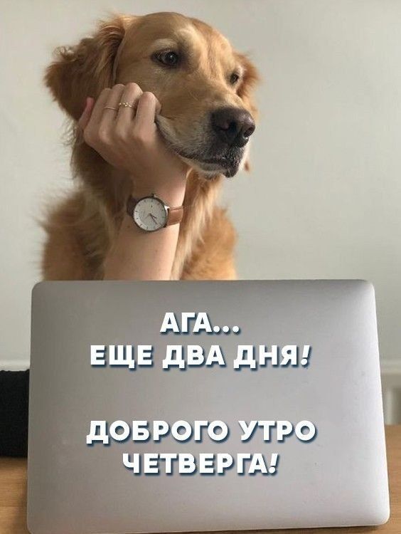 ������ ����, �����������. ����� ����� ���� ������� ��� ����� ����������� �������������� �� �����