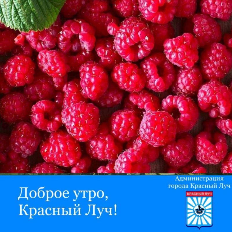 � ������ �����, ������������