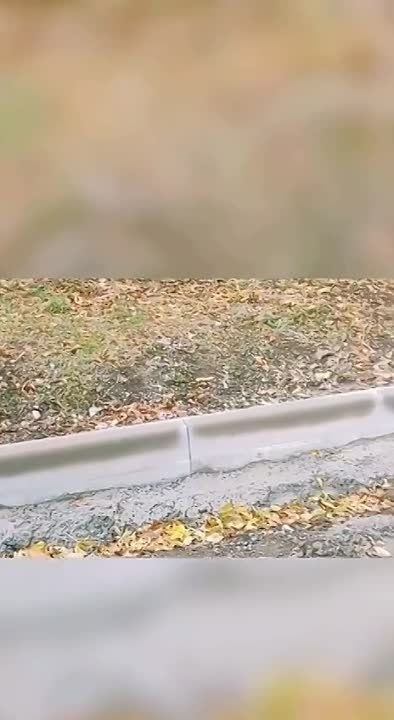 ������������� ���� ������ � ����������� ����� ��������: ����������� �������������� ������������ ������������