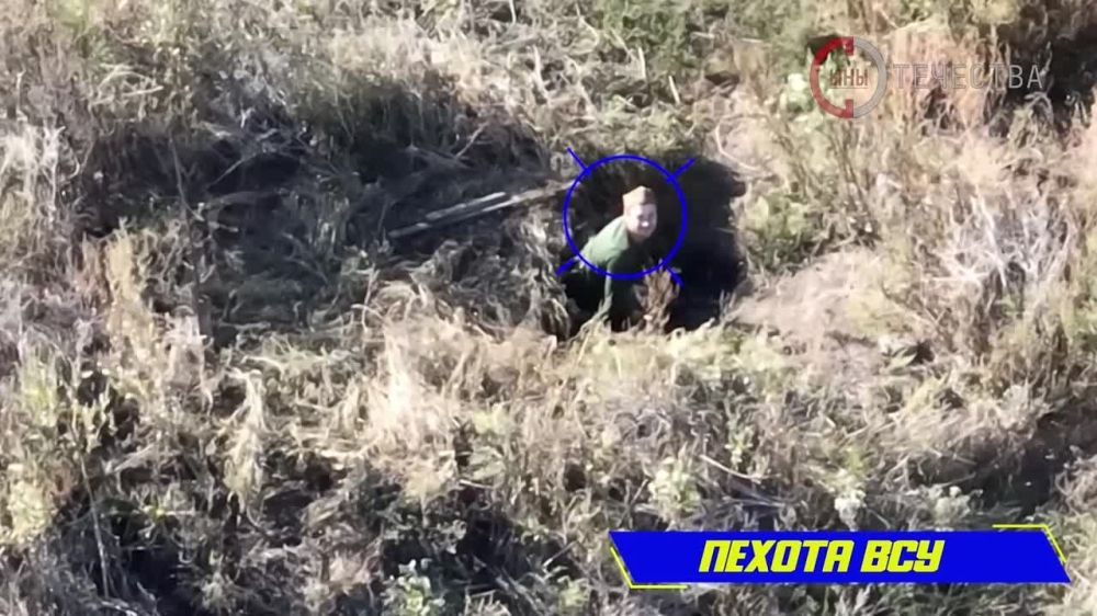� ������ ����������� ������������ 7 ������� ����� ����������� ����� ���������� ���������� �������������