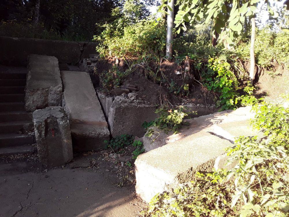 ������ ������: ����: