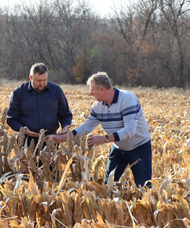 ������� �������: ������� ���� ��������������� ��������� ��� ����ѻ, ��� ������ ����� �������� ������ ������� �������� �������� �����