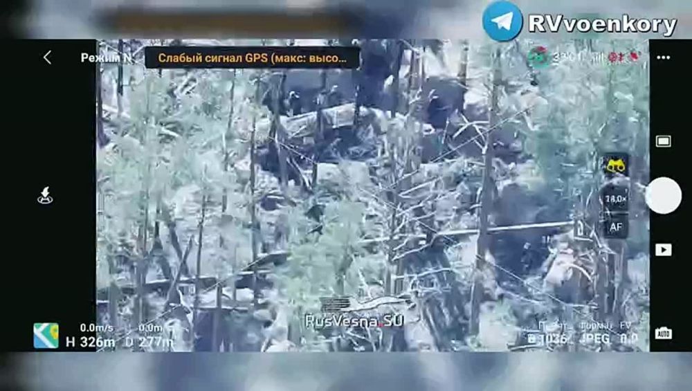 ����� ���: ���� �������� ��������� �� ������� ��� � ����������� �������� ��� ���������