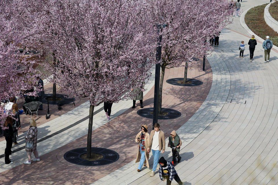 ��������� �� ��� ���������� �� �������� � ���������