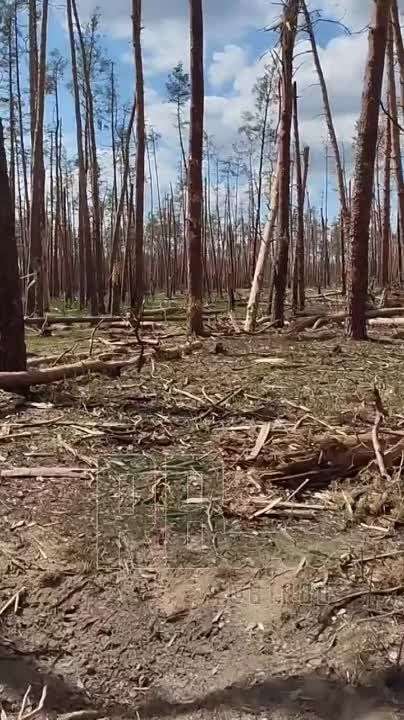 ������� ���������� ������, ������ ���������� � ��������� ���: ���� ������ ���������� ������������ ��� ���������