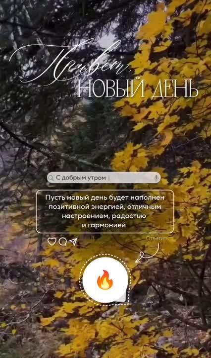 �������������� �� �����