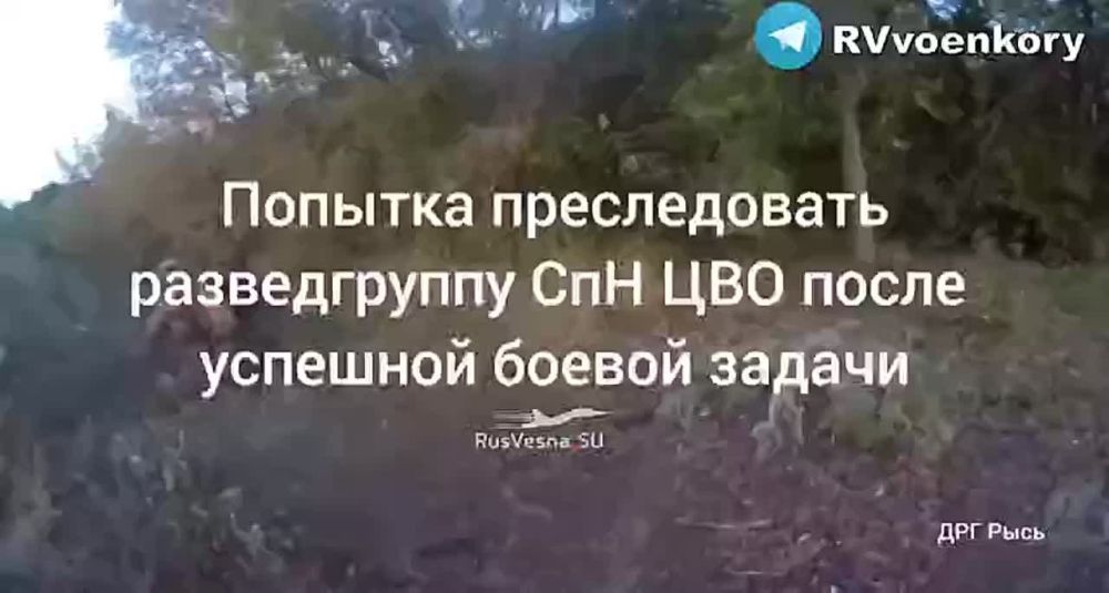 ������� �������: ����������� ���������� ������������ ���� ������������ ��� ���������