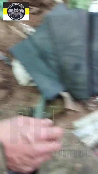 ����� �����: ����������� ��� ���������: ����� ����������� "�����" ������ ������� ���