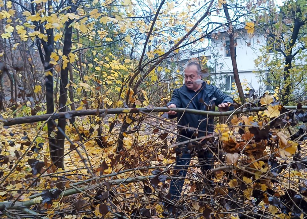 ������ ������: ��������� � ������� �������������� ������, ��������� ������������ ����������� � ���������� ������������� � ��������������� ����� "������������� �����", �������������� ������ ��������� �������� ���������� �������� ����������