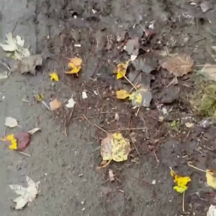 �������� �� ������ � ���������