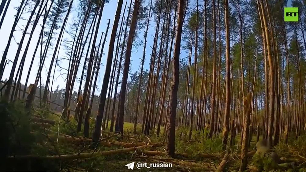 ������� �������: ���������� ���������� �������� ����� ������� ���������� � ������ ���������