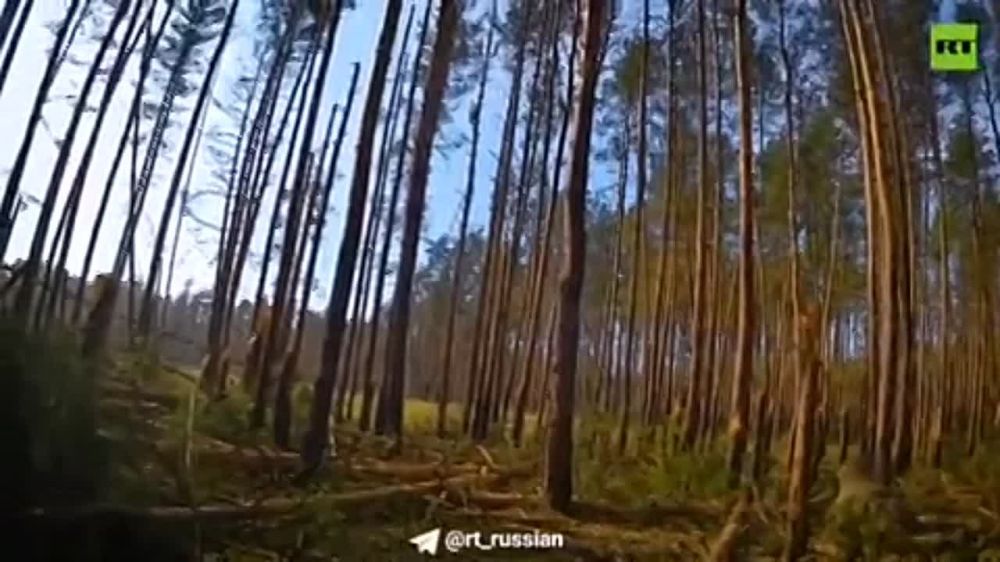 ���������� ���������� �������� ������� ���������� ����� ��� ���������
