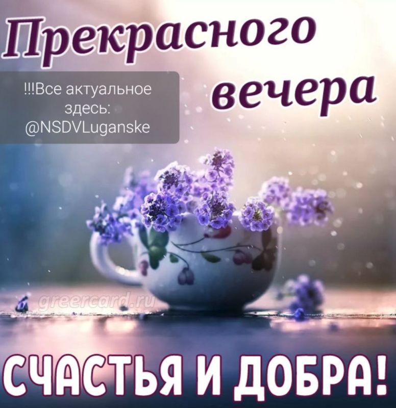 ������ ����, �������!. ���� � �������� ��������� �����, � ���� � ������� ���� ����� ������ �� ��������. �� ���������� ��������� �������� ���������� ���������� ����������. ��� �������