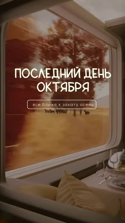 �������������� �� �����