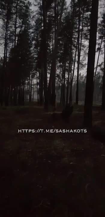 ��������� ���: ������ ���� ����������� � ������������ �����������, ��� ���������